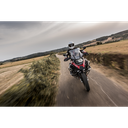 10-0317-0484_5