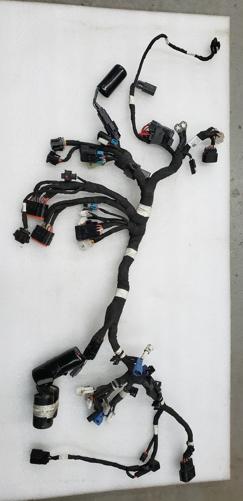 HARNESS-MAIN CH STD