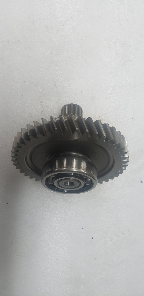 GEAR-BRAKE 43T (286210)