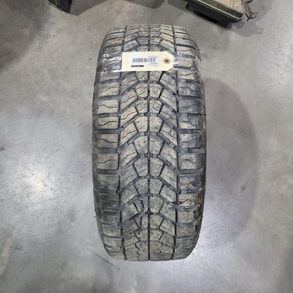 rear tire 205/55r15