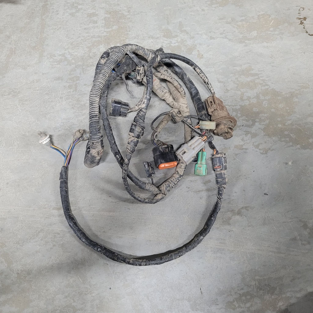 Harness, Main