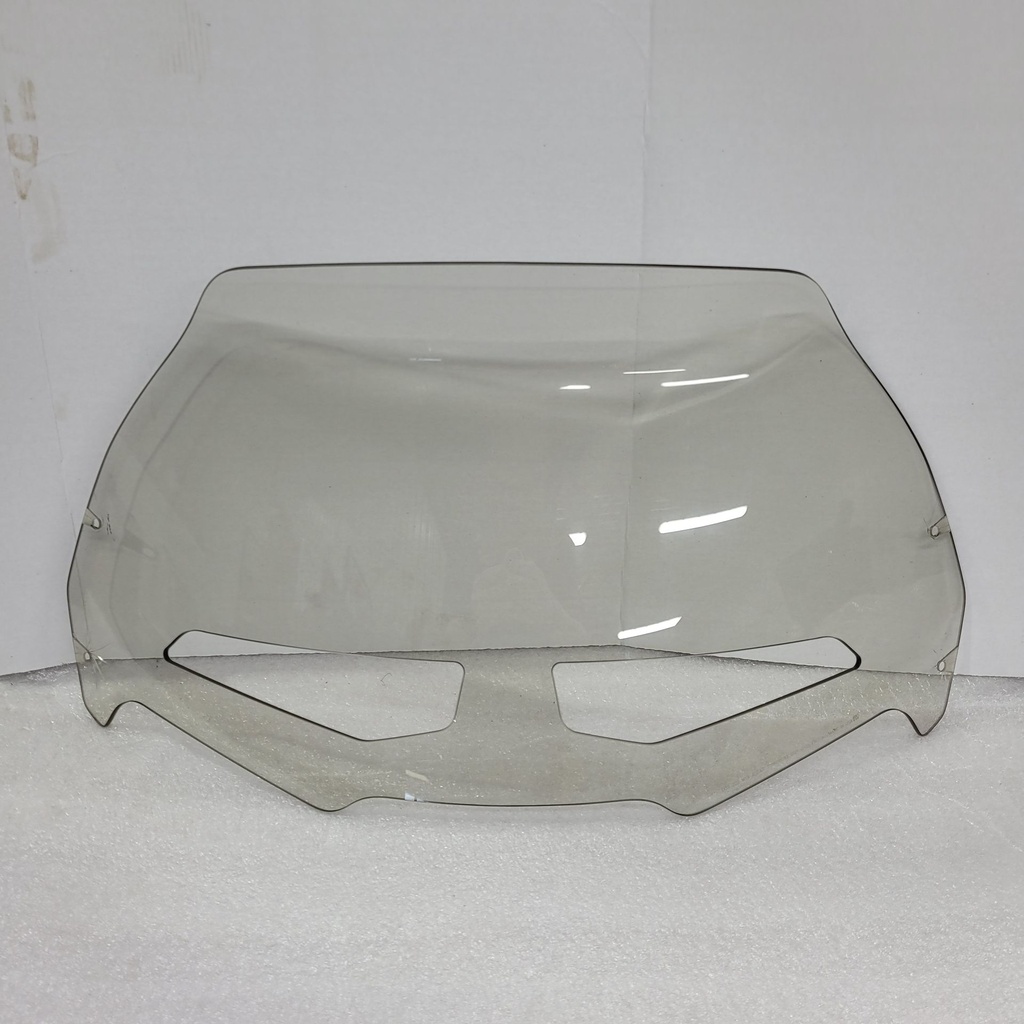 Windshield