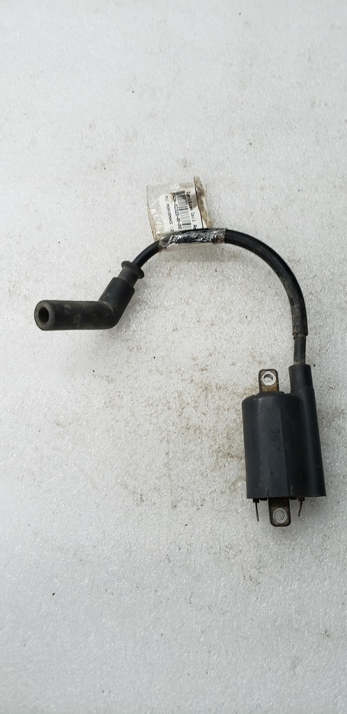 Ignition Coil Assy - YAMAHA - 4DN-82320-00-00