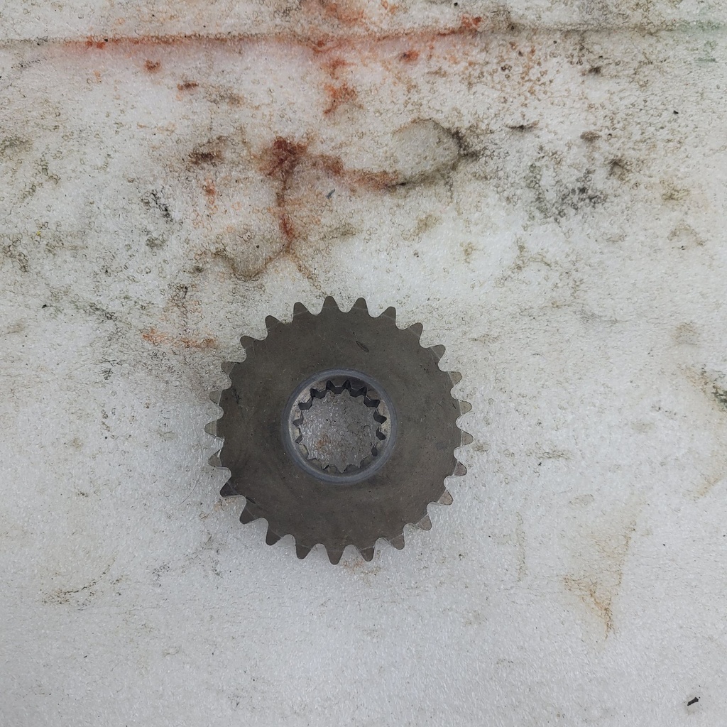 (new ref. 504153912) sprocket 25 teeth (large) package x