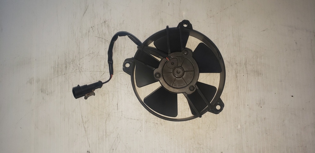 fan