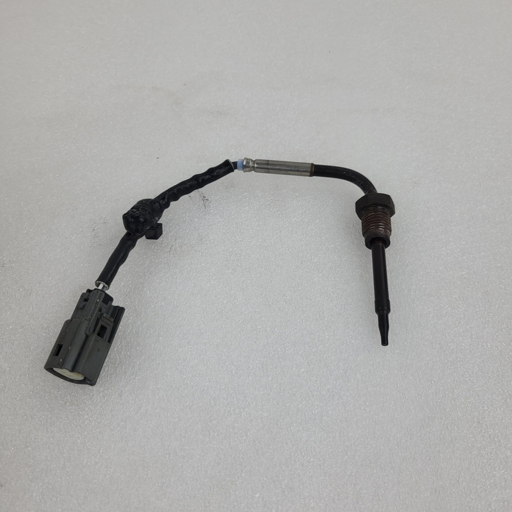 temperature sensor