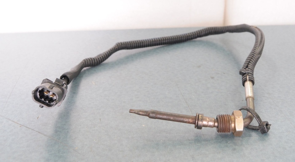 temperature sensor