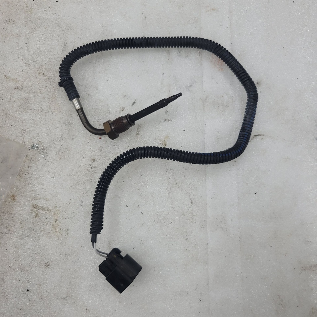 temperature sensor