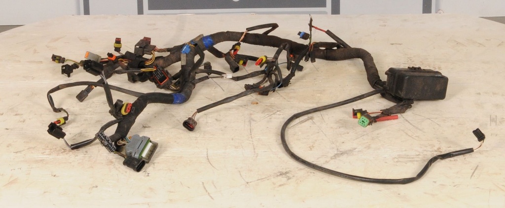 MAIN HARNESS