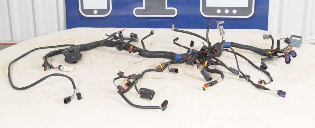 Main Harness Model 800R E-TEC