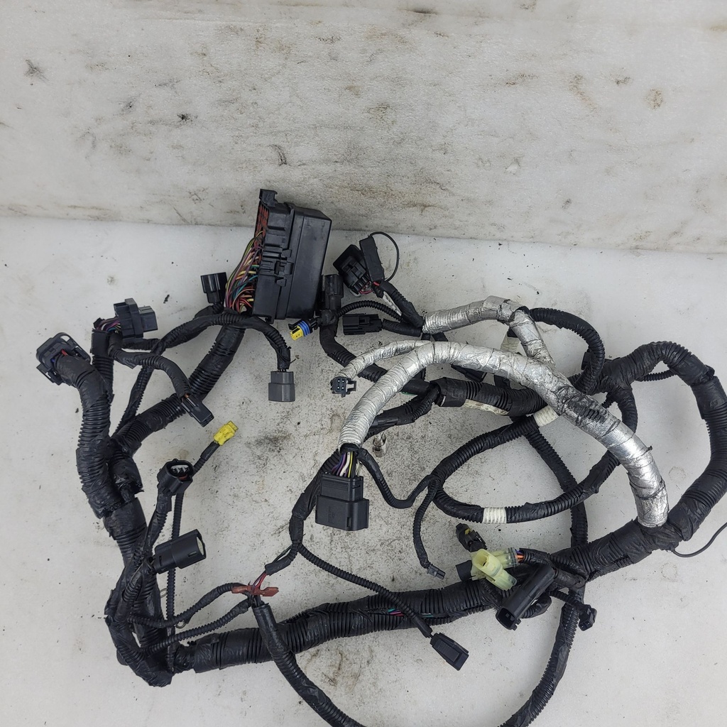 harness, main (inc. 13-19)