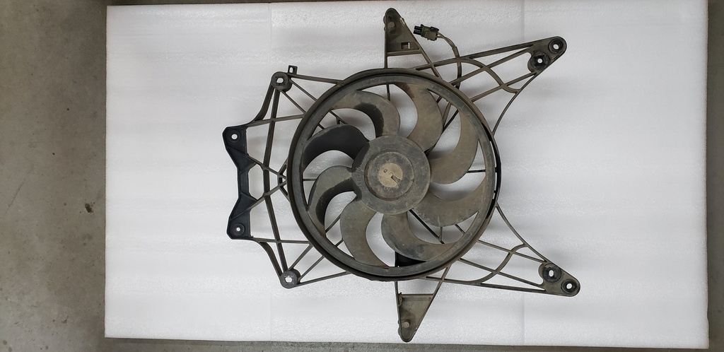 fan