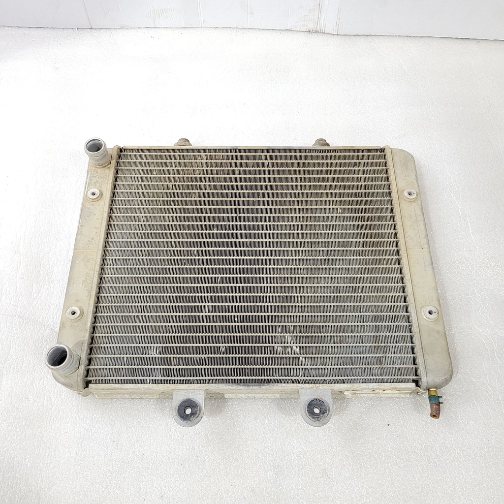 ASM-RADIATOR,CORE