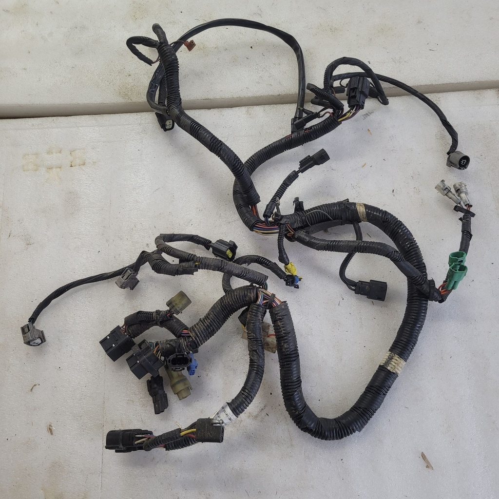 Main Harness M8