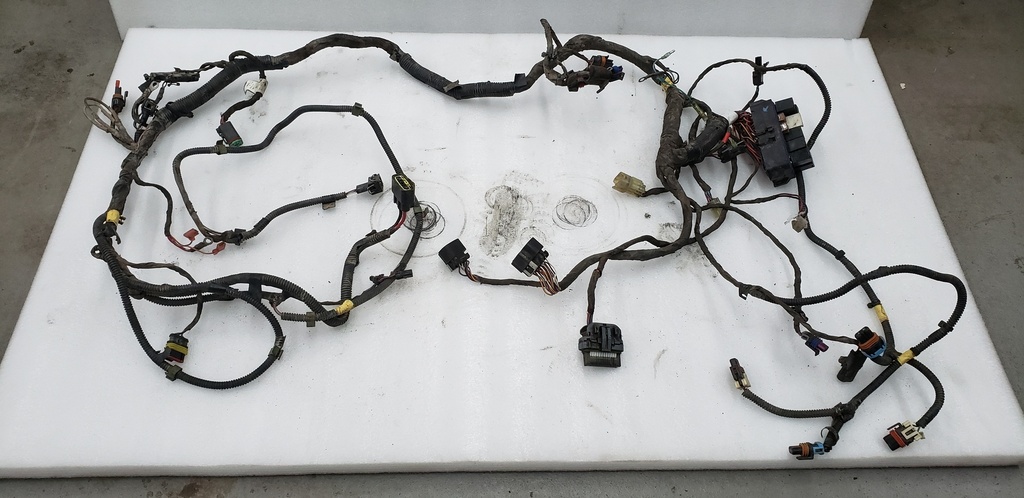 Main Harness