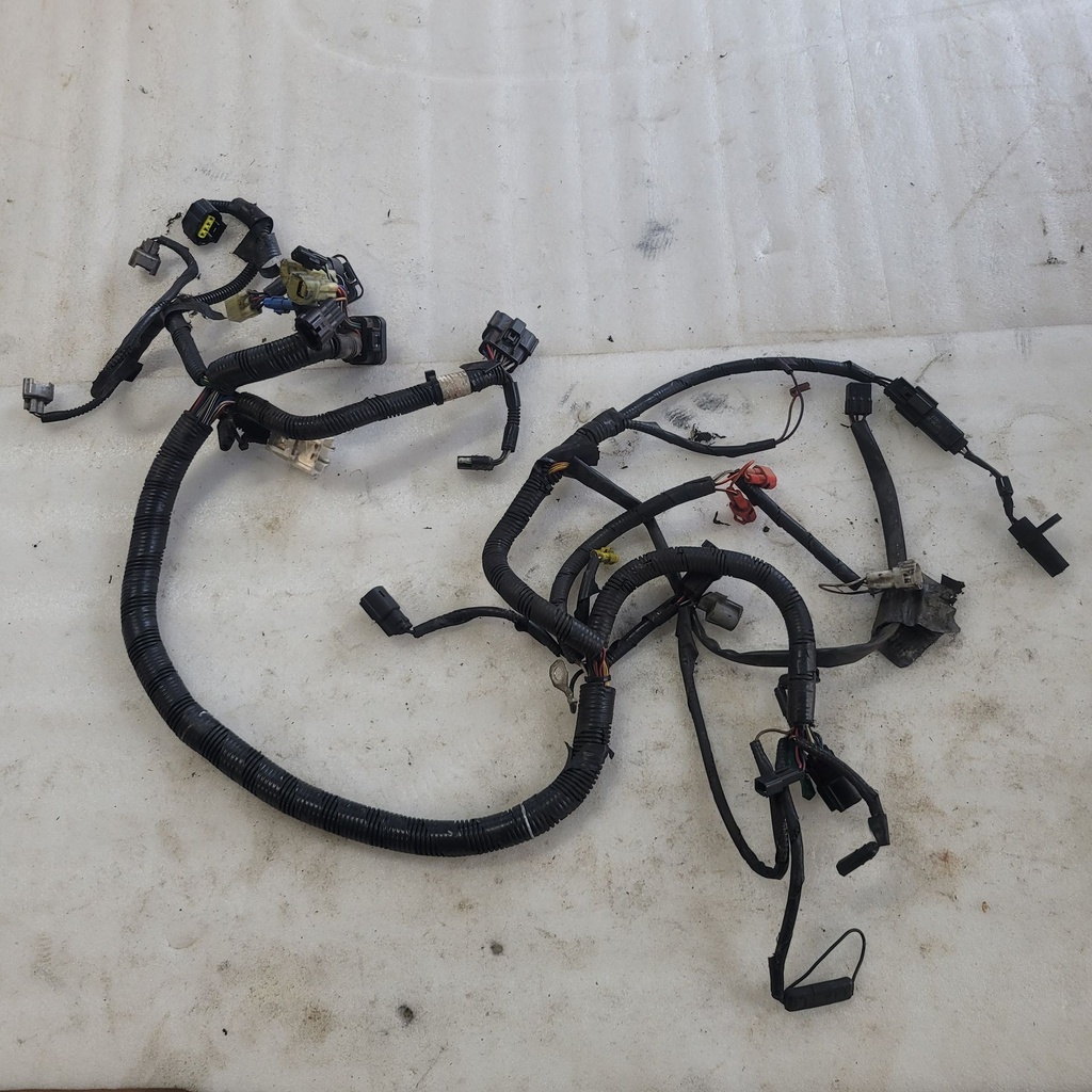 HARNESS MAIN