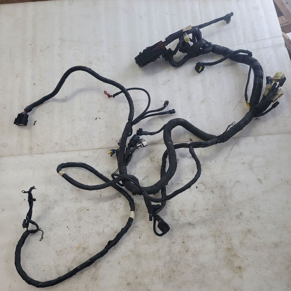 Harness, Main