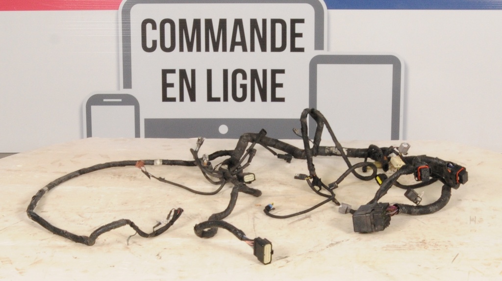 Harness, Main (inc. 12-20)