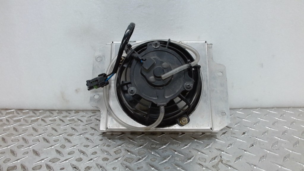 fan