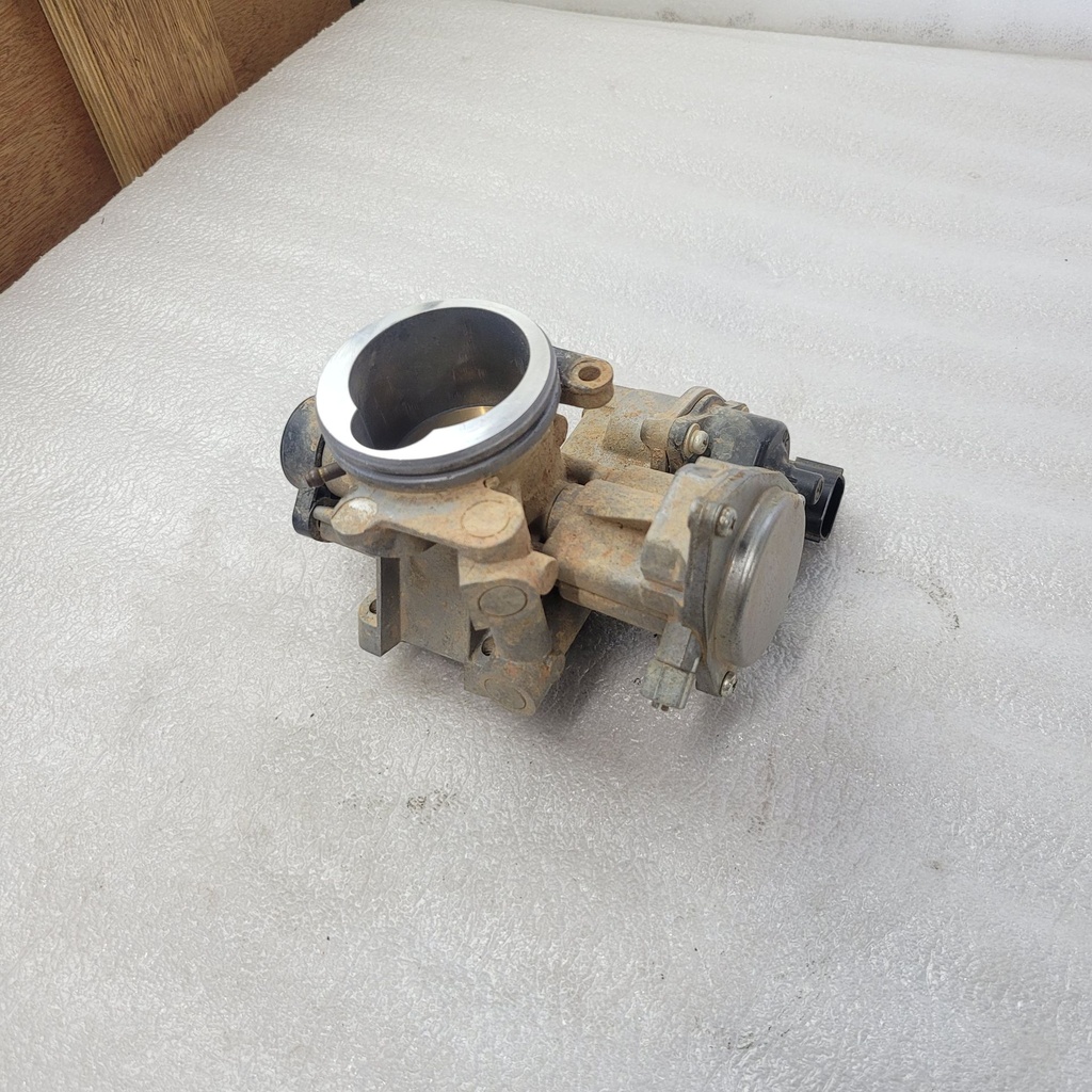Throttle Body Assy