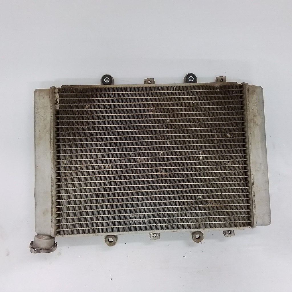 Radiator Assy
