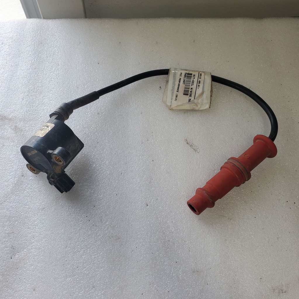 KIT-COIL W/WIRE,500EFI