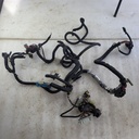 HARNESS MAIN