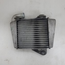 YAMAHA-radiator comp-8FR-12461-00-00