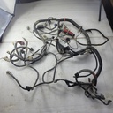 HARNESS-MAIN,550,X2