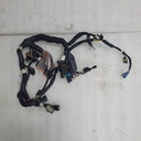 MAIN HARNESS, LE STD