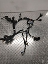 MAIN HARNESS, LE PREM