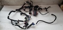 MAIN HARNESS, 800 WT, PBR