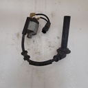 Ignition Coil Assy