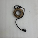 BRP (Can-am / Ski-doo)-Generator-420296630