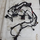 DUCATI-wiring harness-51016981B