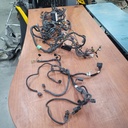BRP (Can-am / Ski-doo)-wiring harness_chassis-710001653