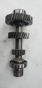 SHAFT-INPUT 17T/28T (286203)