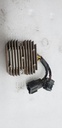ARCTIC CAT-reg rect comp-3306-413