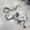 BRP (Can-am / Ski-doo)-chassis wiring harness-710008097