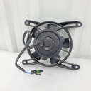 fan