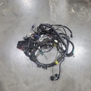 main cable