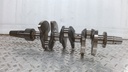 BRP (Can-am / Ski-doo)-crankshaft ass'y-420819786