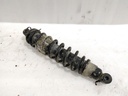 SHOCKABSORBER,RR