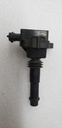 POLARIS-COIL INGNITION-0451406