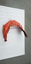 (new ref. 502007173) orange race bottom pan cap