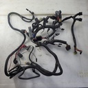 Frame Harness Ass'y