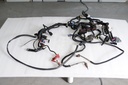 main harness 800r e-tec except package-enduro