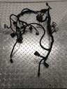 Chassis Wiring Harness Except Electric Start