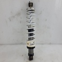 shock-r/t ifp
