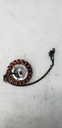 ARCTIC CAT-STATOR,IGNITION-EFI-0802-041